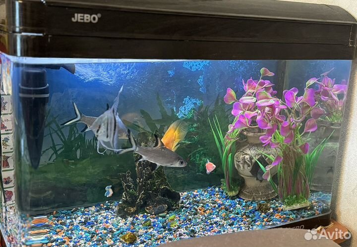 Аквариум