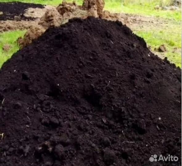 Лучший чернозем для ваших лучших задумок