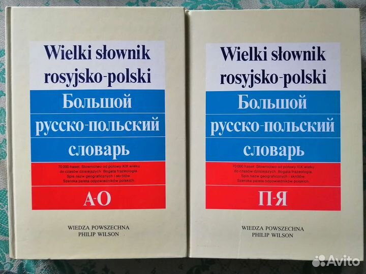 Большой русско-польский словарь