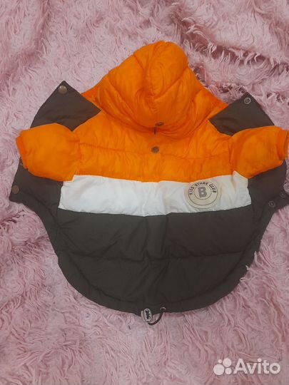 Одежда для маленьких собак