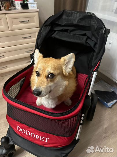 Прогулочная коляска Dodo pet для крупных собак