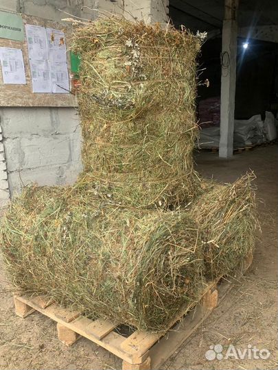 Сено в тюках
