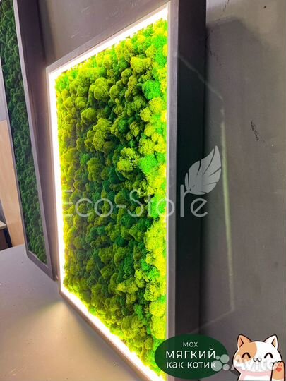 Панно со мхом для бизнеса