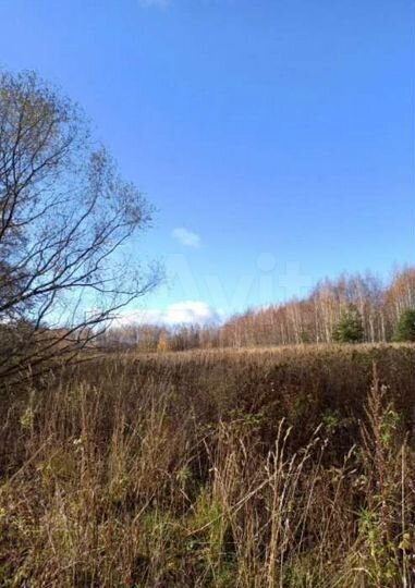 Участок 9,98 га (СНТ, ДНП)