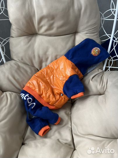 Одежда для собаки