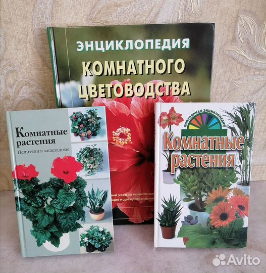 Комнатное цветоводство / комнатные растения