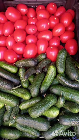 Микс Огурцы Томаты 10 кг