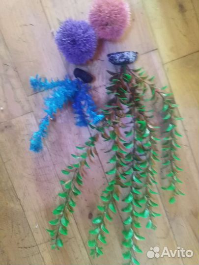 Аквариумные водоросли и рыбы