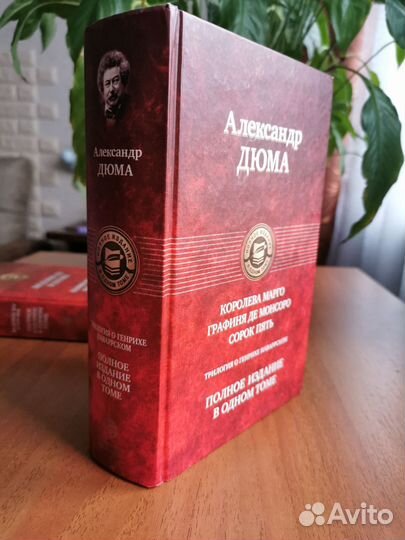 Королева Марго, Графиня де Монсоро, Сорок пять