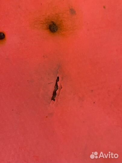 Коврики на Kia Cerato 3, Ford