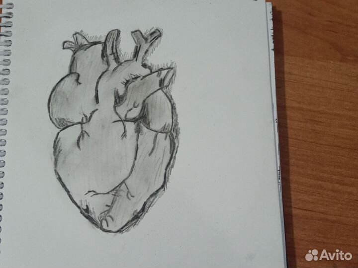 Рисунок сердца,выполнен карандашами