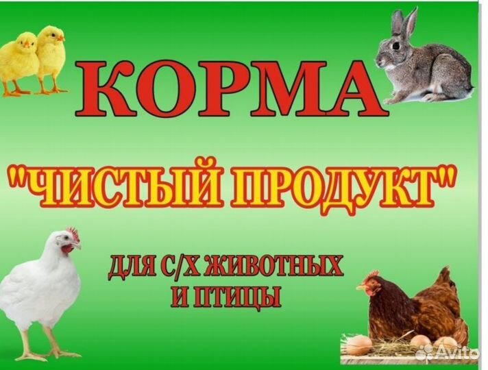 Утка старт, утка рост