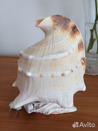 Светильник ракушка