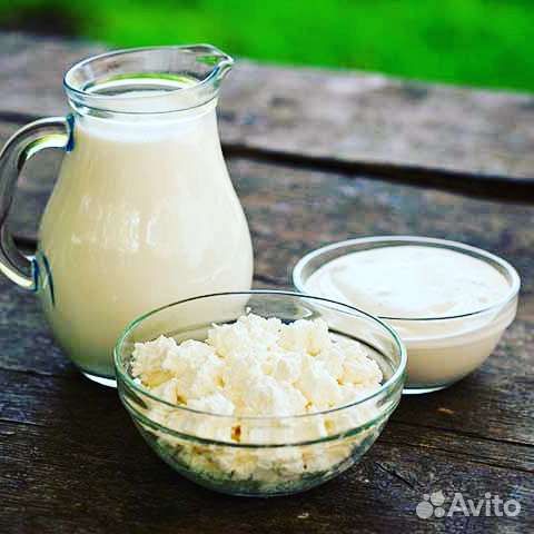 Молочные продукты
