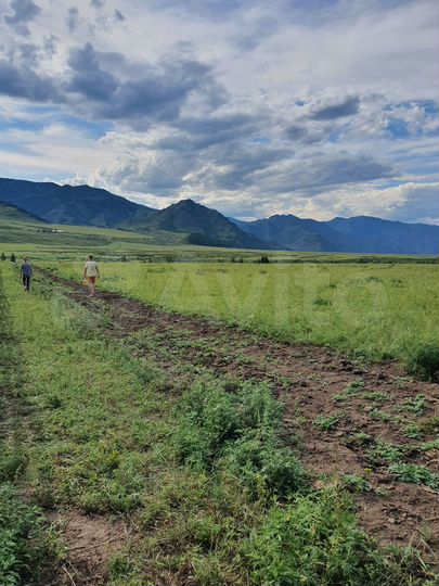 Участок 80 сот. (СНТ, ДНП)