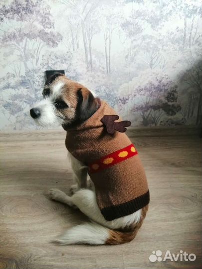 Кофта для маленьких собак