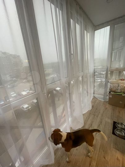 1-к. квартира, 37 м², 4/9 эт.