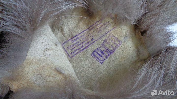 Шкурка песца