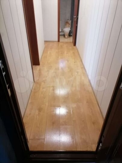 1-к. квартира, 25,9 м², 1/2 эт.