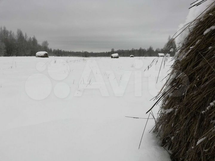 Участок 18,1 га (СНТ, ДНП)