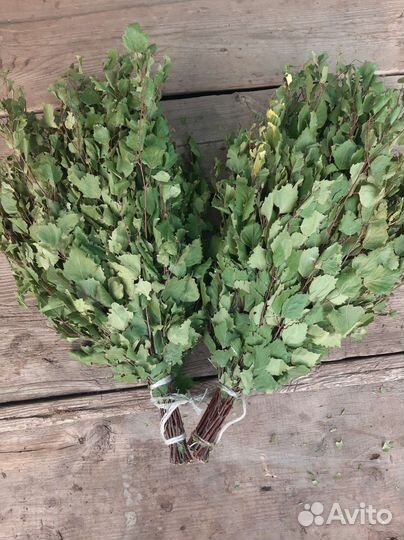 Свежие березовые веники для бани