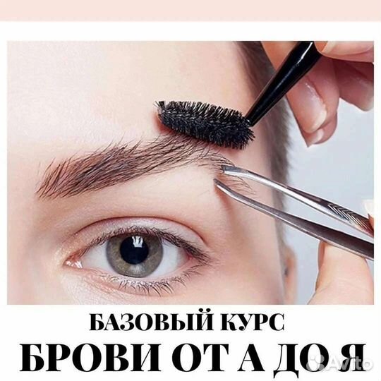 Обучение,Browmaster, - Базовый курс с 0