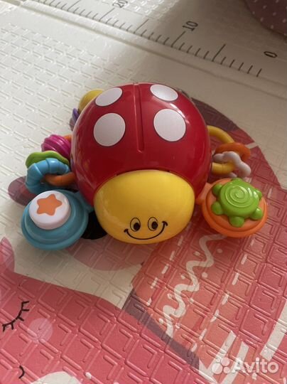 Божья коровка