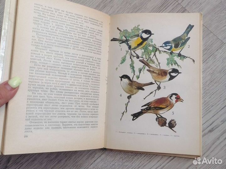 Юным любителям природы 1975