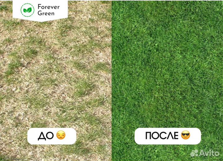 Автополив / Система автополива