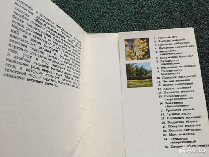 Открытки наборы Цветы-Часы, Природа, Кухня, Цветы