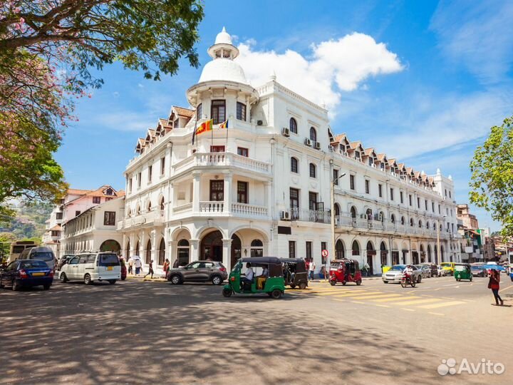 Эксклюзив-тур на Sri Lanky 7 дн