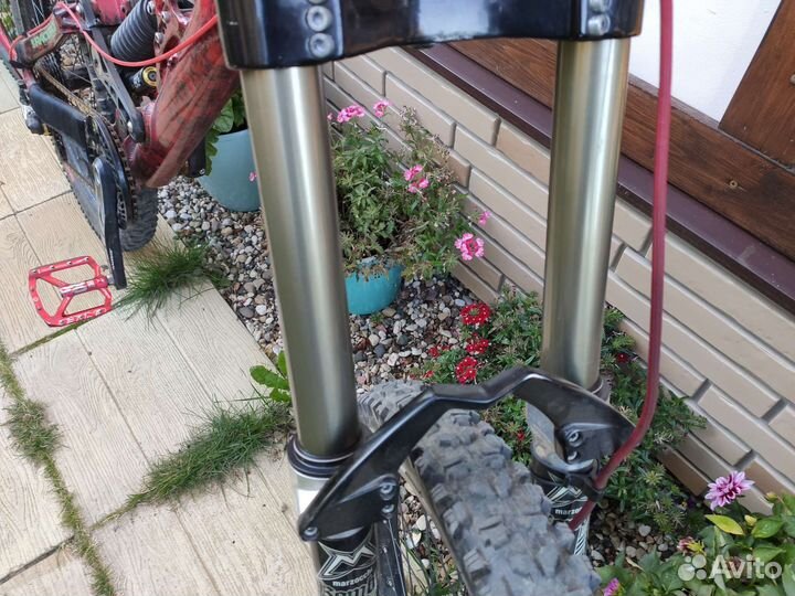 Вел на любителя