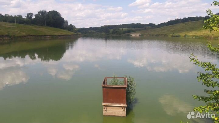 Продам пруд