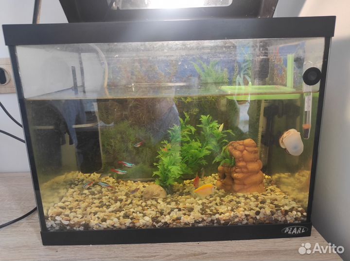 Аквариум с рыбками бу
