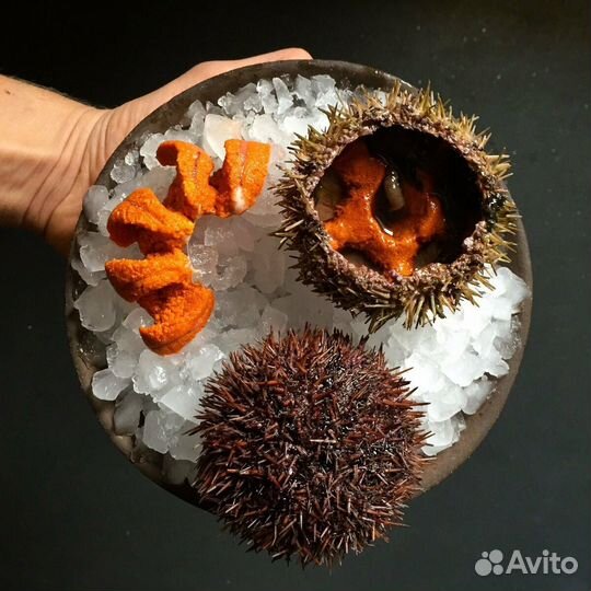 Krab&Fish Морепродукты