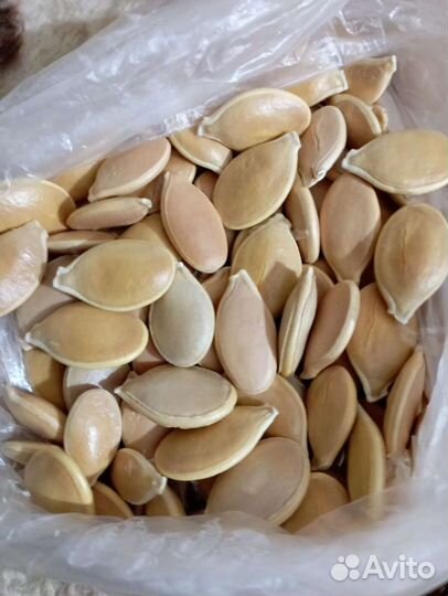 Семена тыквы