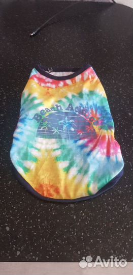 Курточка и новая футболка Beach голубая