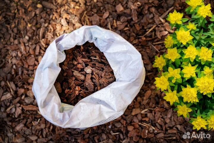 Мульча лиственницы и сосны