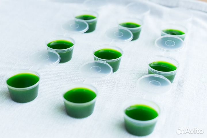 Витграсс в Кемерово. Живой сок пшеницы