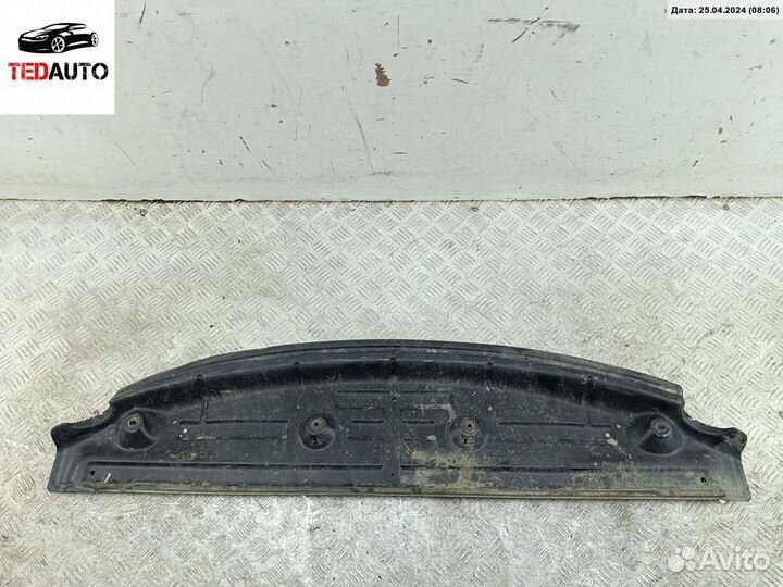 Защита бампера переднего, Hyundai Sonata YF (2010