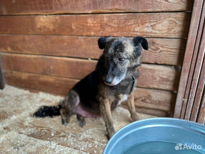 Нежная Баллин ищет свою любящую маму