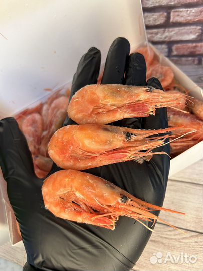 Северная Креветка Сахалинская Дальнекреветка