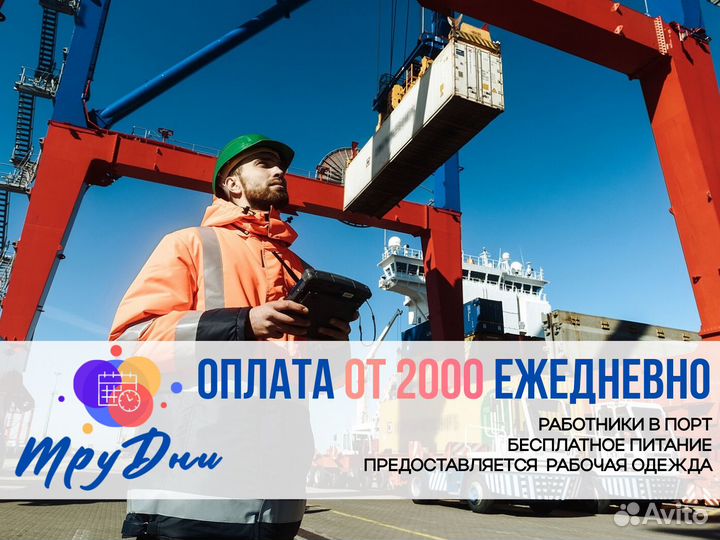 Разнорабочие В Порт Ежедневные Выплаты