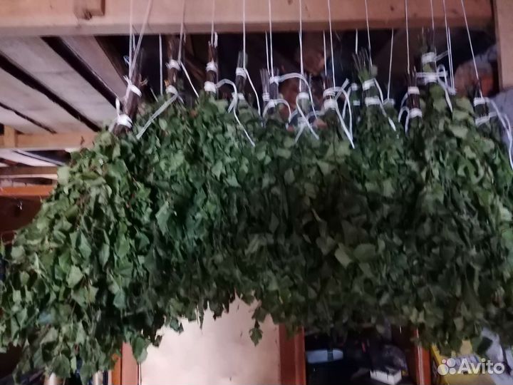 Березовые веники