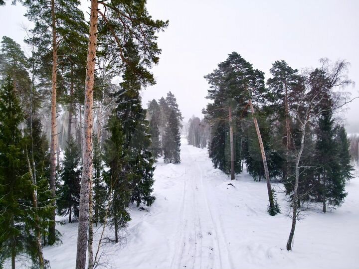 Участок 4,6 сот. (ИЖС)