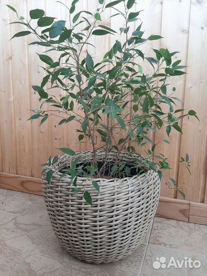 Кашпо из искусственного ротанга