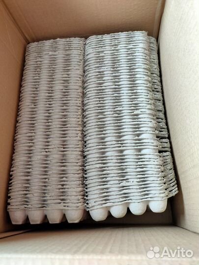 Упаковка для перепелиных яиц