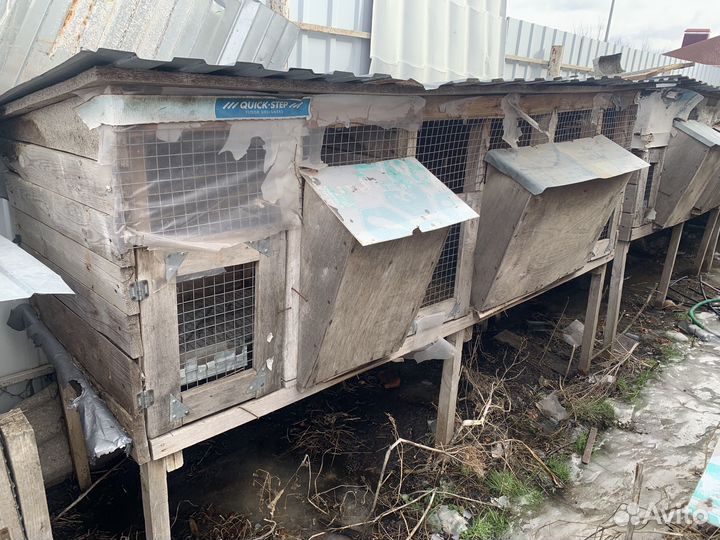 Клетка для кроликов (кролятня)