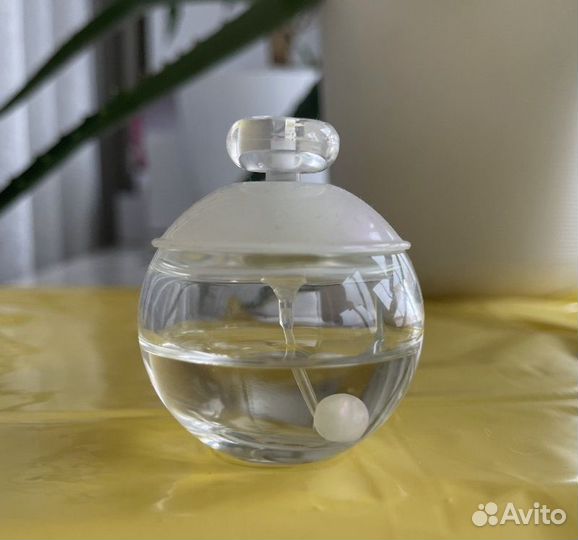 Кашарель noah