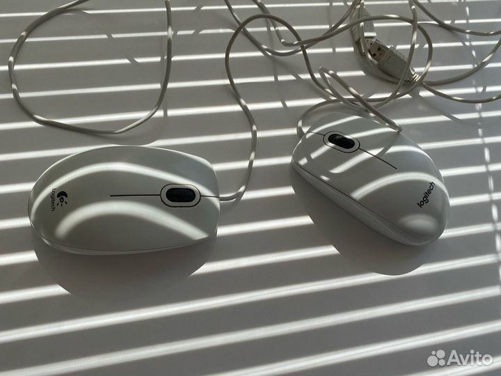 Мышки Logitech B100